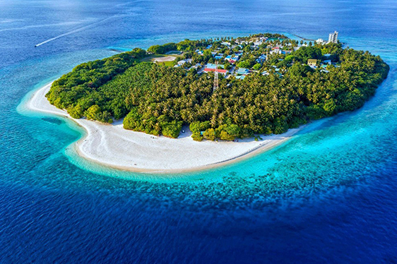 maldives travel agents india
